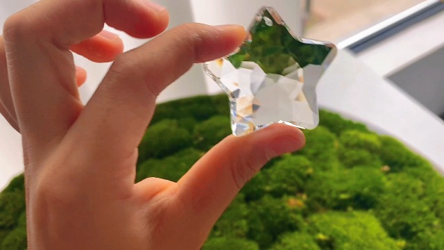 Amazon.com : H&D HYALINE & DORA 2 Pcs 2